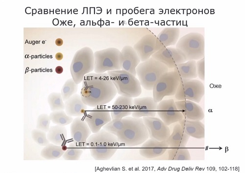  (jpg, 44 Kб)