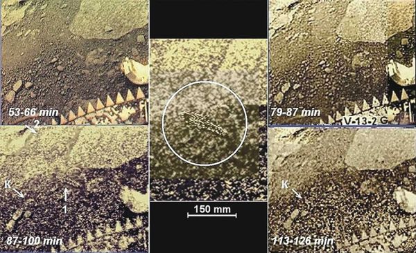 Академик РАН Лев Зелёный если на Венере есть жизнь, первым её найдёт российский посадочный аппарат 1-3.jpg (jpg, 89 Kб)