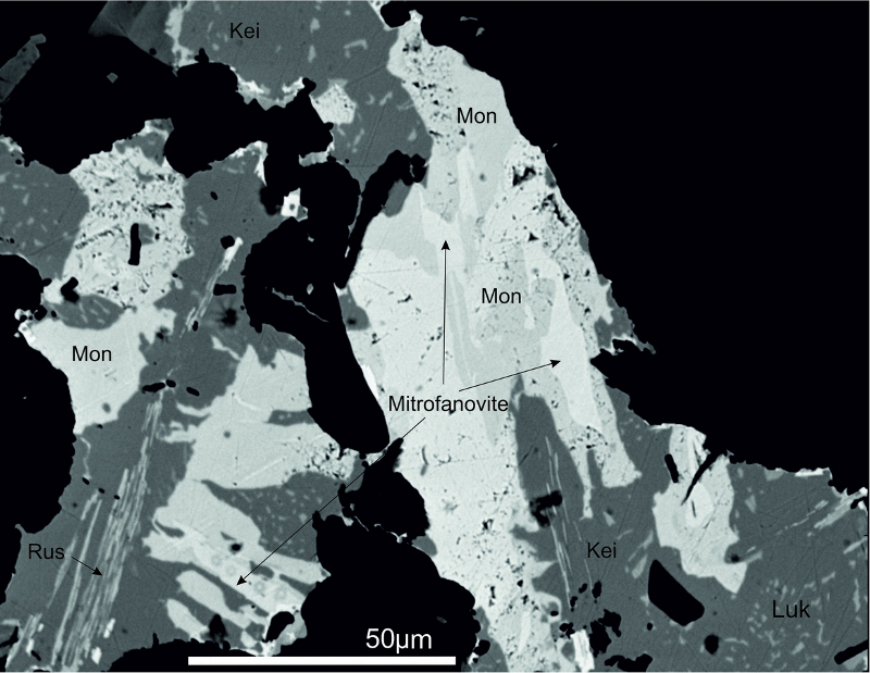 BEI-изображение митрофановита и ассоциирующих с ним минералов (mon – мончеит, kei – кейтконнит, luk – луккулайсваараит, rus – рустенбургит) (jpg, 346 Kб)