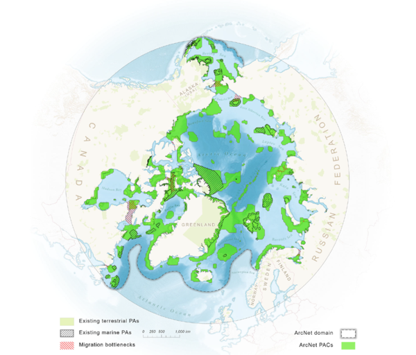 Предложена сеть для охраны морских акваторий в Арктике 1-1.png (png, 303 Kб)