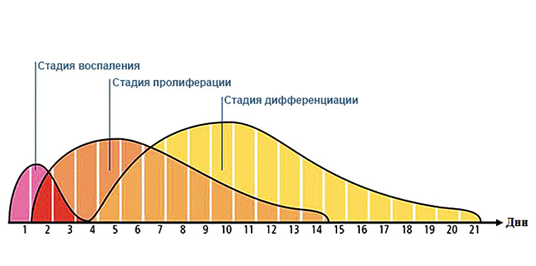 (jpg, 49 Kб)