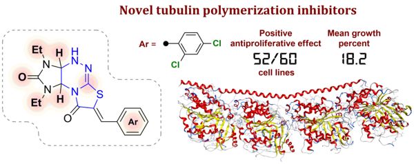Cинтезирован новый класс антипролиферативных агентов — ингибиторов полимеризации тубулина 1-1.jpg (jpg, 43 Kб)