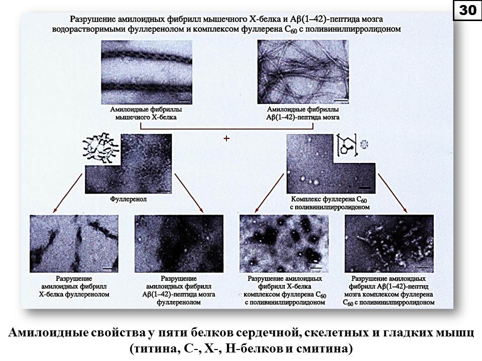 Слайд 30 (JPG, 116 Kб)