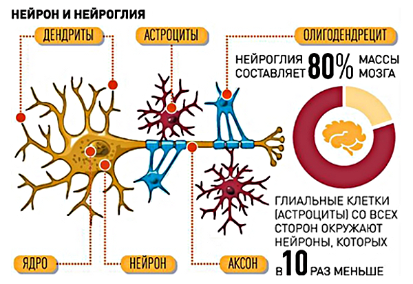 10 (jpg, 252 Kб)