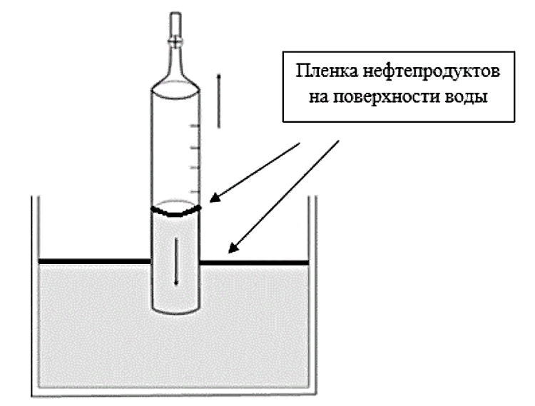  (jpg, 156 Kб)