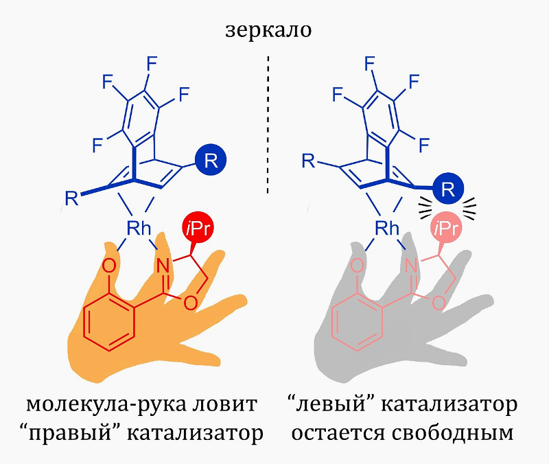 (jpg, 126 Kб)