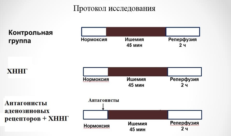 1-2 (jpg, 101 Kб)