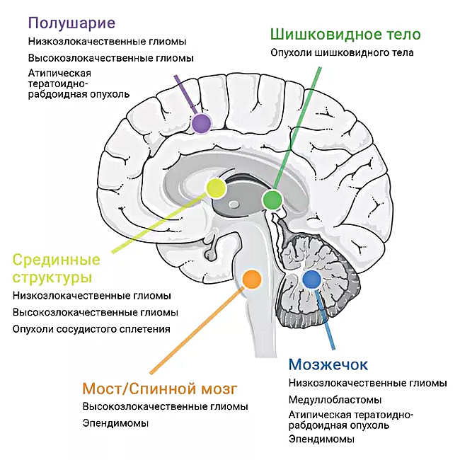 1-4 (jpg, 247 Kб)