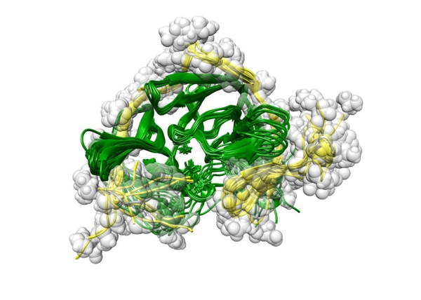 Изучена сериновая протеаза вируса Денге 1-1.jpg (jpg, 113 Kб)