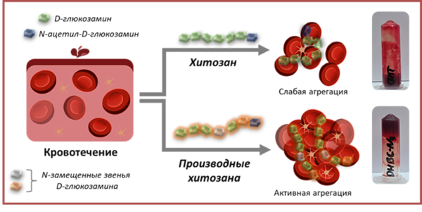 Производные хитозана помогают быстрее останавливать кровотечения 1-2.png (png, 131 Kб)