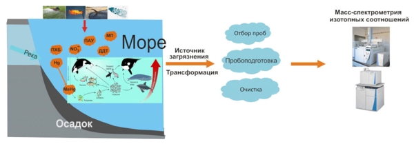 Исследование тенденций в анализе загрязняющих веществ морской среды методом изотопной масс-спектрометрии 1-1.jpg (jpg, 64 Kб)