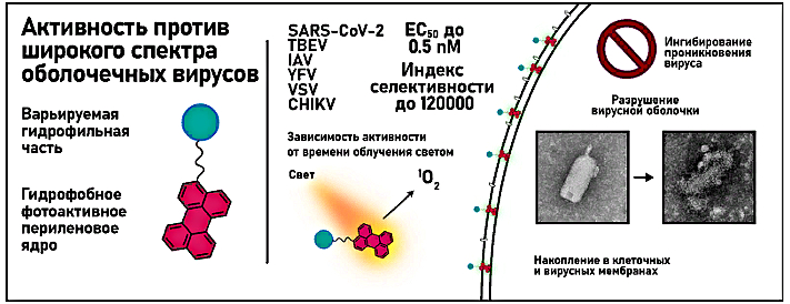 (jpg, 143 Kб)