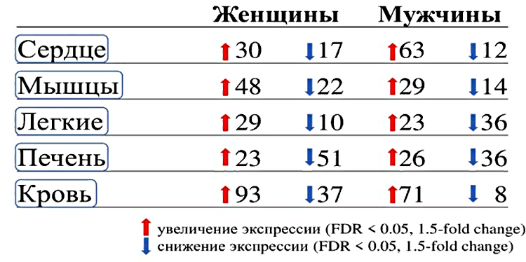 1-2 (jpg, 159 Kб)