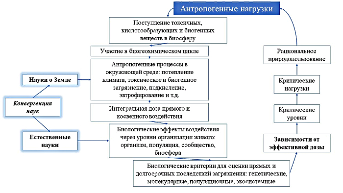  (jpg, 163 Kб)