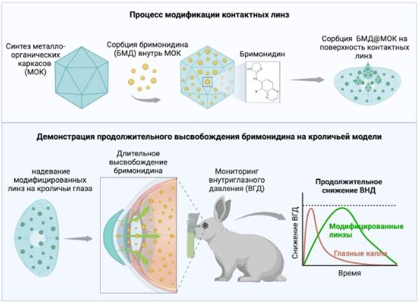 Инновационные контактные линзы с металлоорганическими каркасами для лечения глаукомы 1-1.jpg (jpg, 47 Kб)