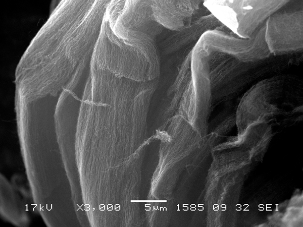Улучшение свойств бетонов с помощью углеродных нанотрубок 1-1.jpg (jpg, 174 Kб)