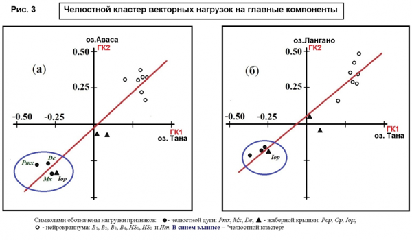 Индикатор интенсивности формообразования в популяциях крупных африканских усачей Эфиопии и алтайских османов Монголии 3-4.png (png, 119 Kб)