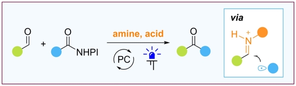 Разработан метод фотокаталитической C-H функционализации альдегидов 1-1.jpg (jpg, 39 Kб)